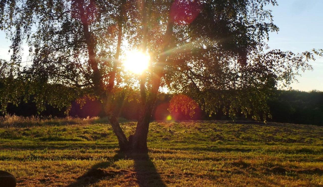 Dom Peyreton Prestige Cottages Set In A Charming Wine Property Villegouge Bagian luar foto
